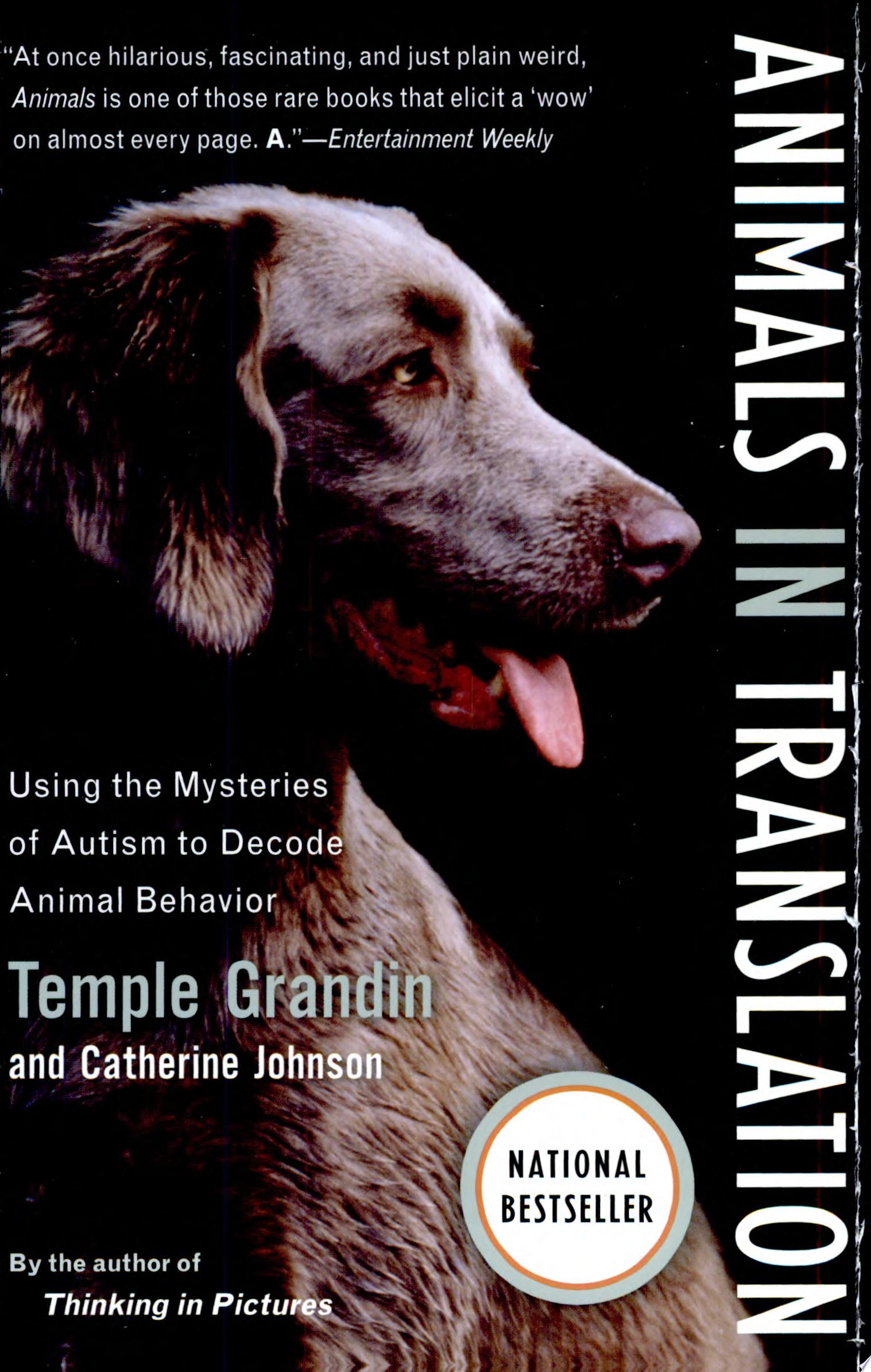 Image for "Animals in Translation"