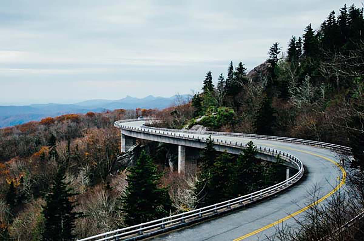 image of winding road surrounded by forrest