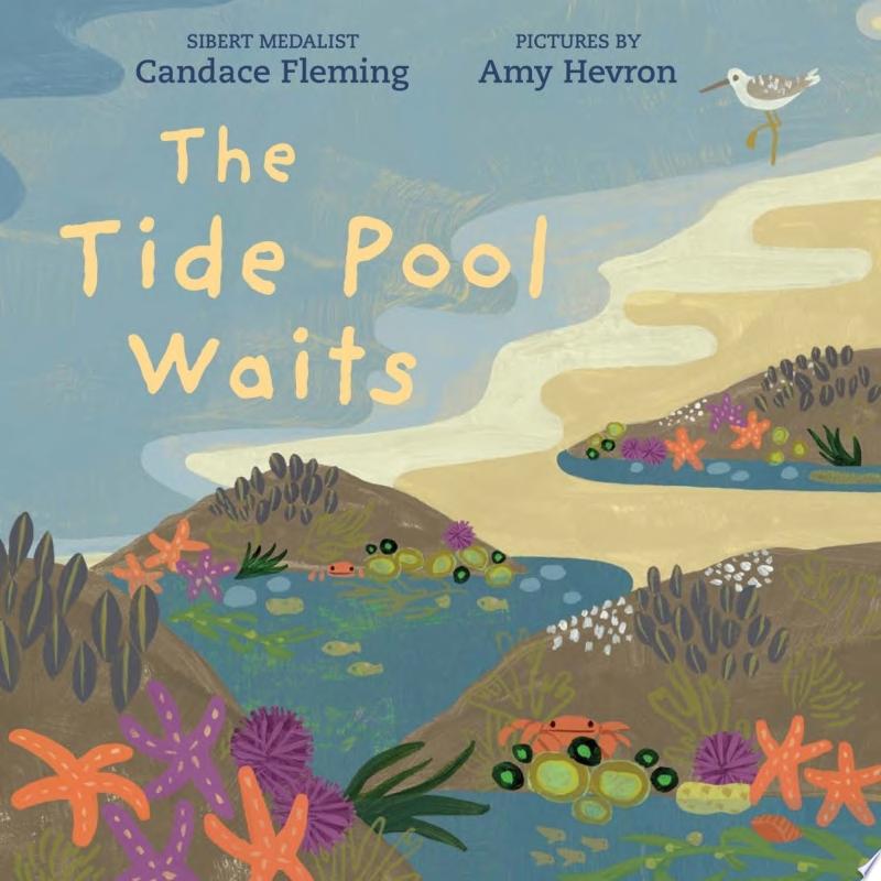 Image for "The Tide Pool Waits"