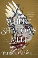Image for "Where Shadows Meet"