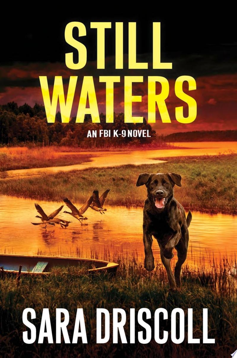 Image for "Still Waters"