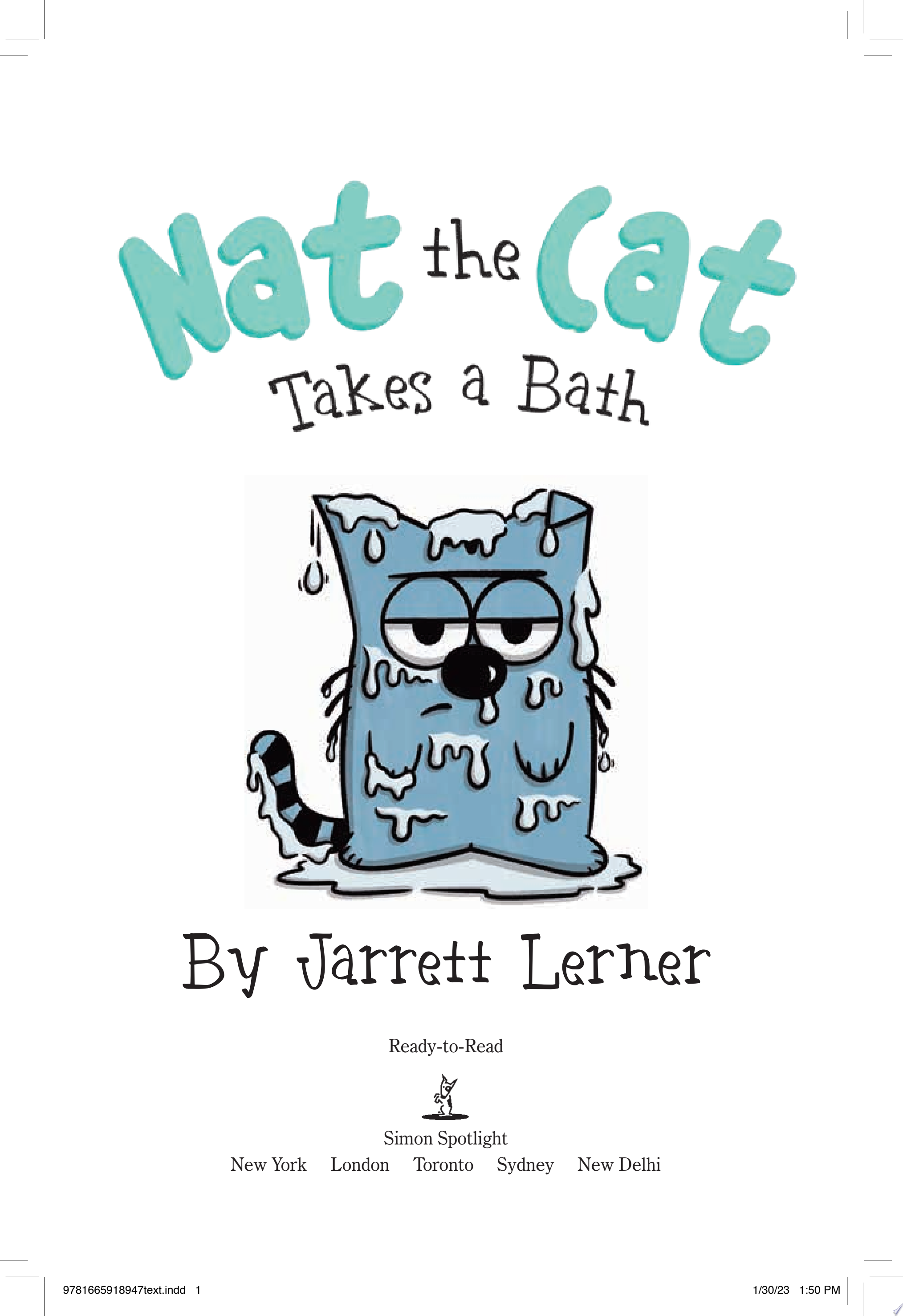 Image for "Nat the Cat Takes a Bath"