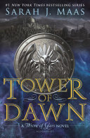 Image for "Tower of Dawn"