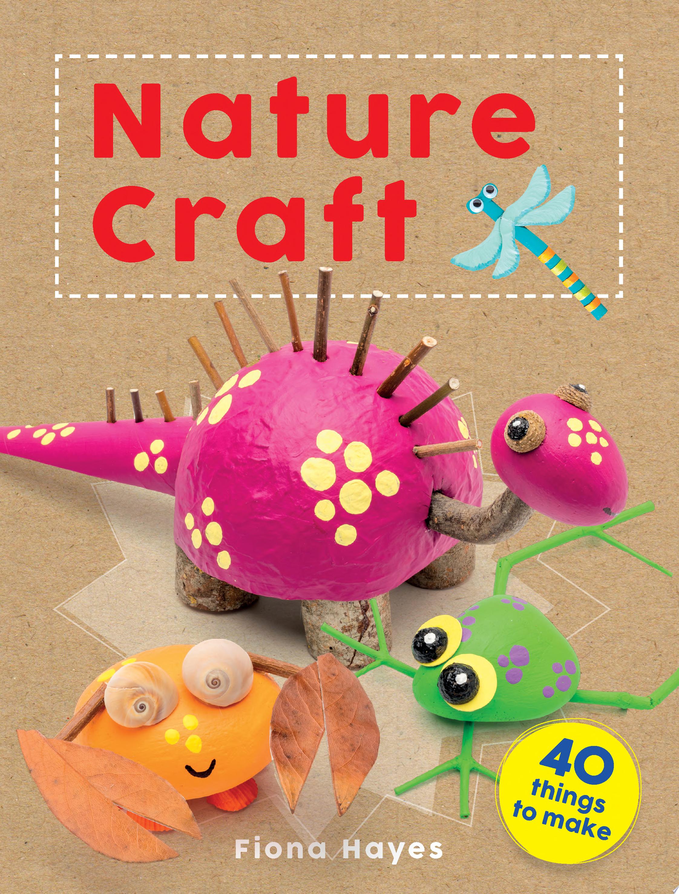 Image for "Nature Craft (Craft Makes)"
